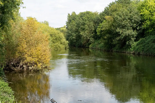 Swim spot on the River Lea near Hackney Marshes