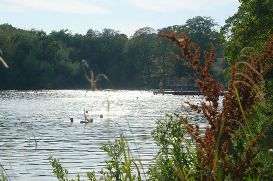 Swimmers at the mens pond hampstead heath